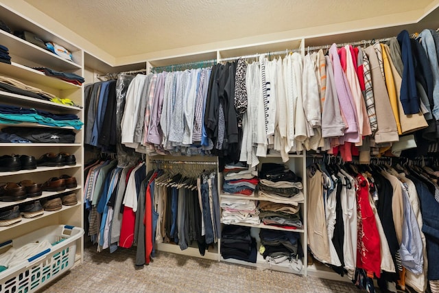 6767 Burnside Ln, Dublin, OH 43016 - walk in closet with carpet