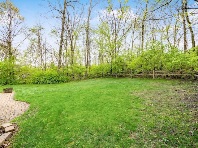 view of yard with a patio and a fenced backyard