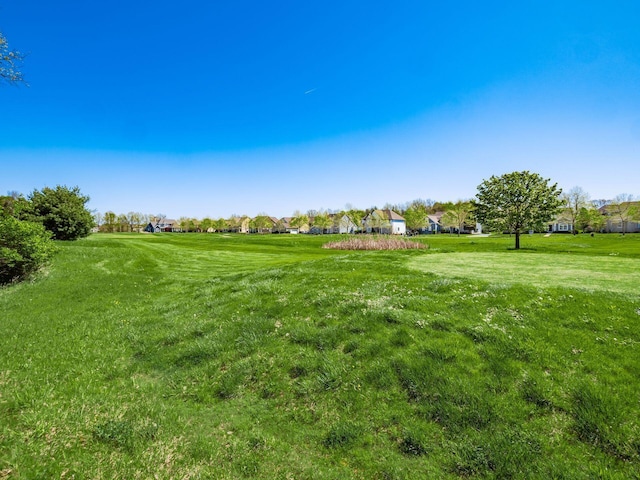view of yard with a residential view