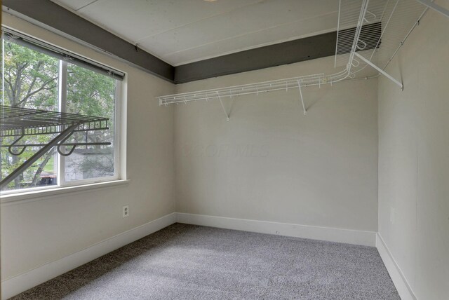 423 Hudson Ave, Newark, OH 43055 - walk in closet featuring carpet flooring