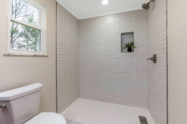 full bathroom featuring toilet and a shower stall