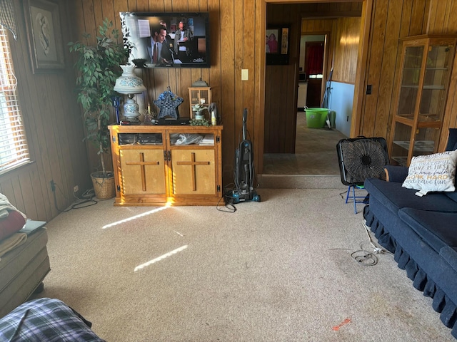 5398 Marietta Rd SE, New Lexington, OH 43764 - living area featuring wooden walls and carpet floors