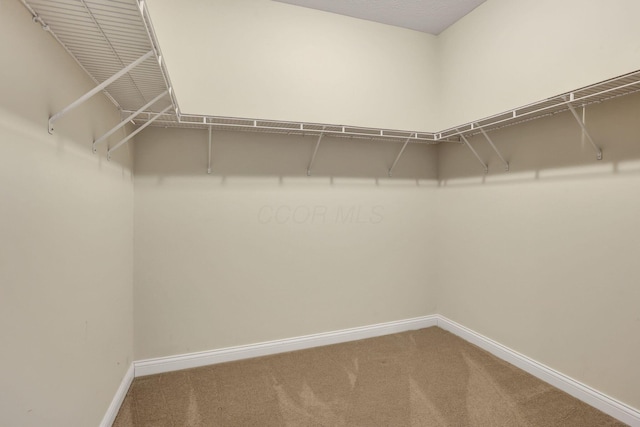 spacious closet with carpet floors