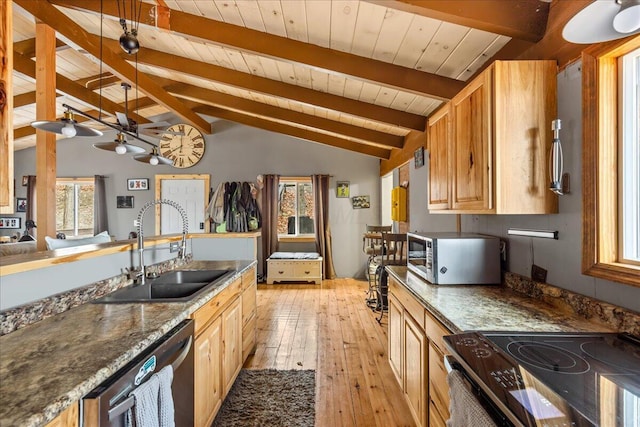 kitchen featuring a sink, stainless steel appliances, light wood-type flooring, and a healthy amount of sunlight