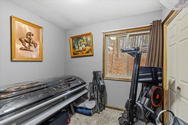 workout room featuring baseboards, carpet, and a textured ceiling