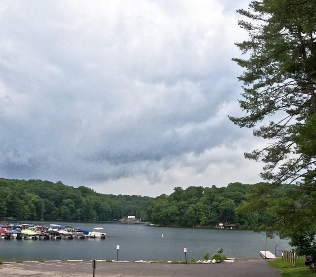102 Mohawk Ln, Sugar Grove, OH 43155 - water view with a forest and a boat dock