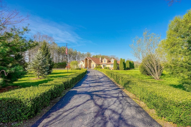 view of road featuring driveway