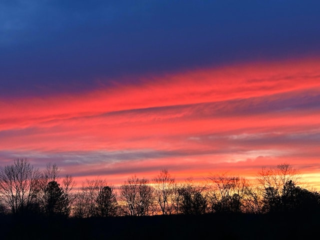 view of nature at dusk