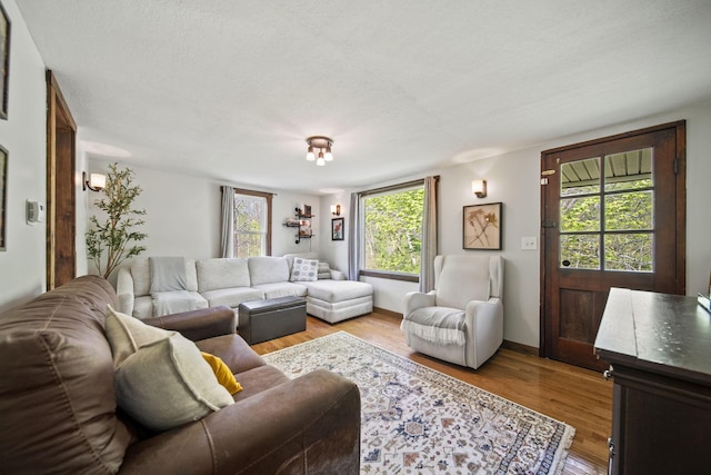 living area featuring light wood-style flooring