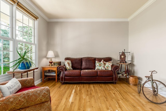 living room with crown molding, light wood-style floors, and baseboards
