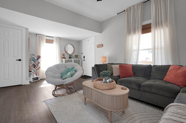 living room featuring wood finished floors