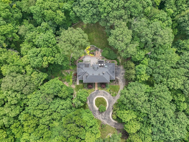 drone / aerial view