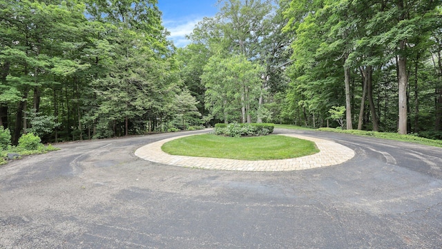 view of street with a wooded view