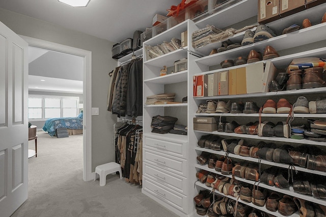 spacious closet featuring light carpet