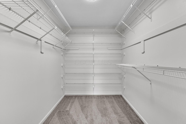 7847 Maplecreek Ct, Powell, OH 43065 - walk in closet with carpet flooring