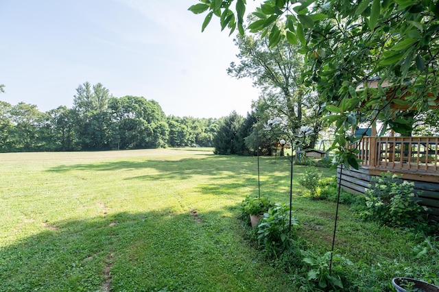 9585 Snyder Church Rd NW, Baltimore, OH 43105 - photo 8