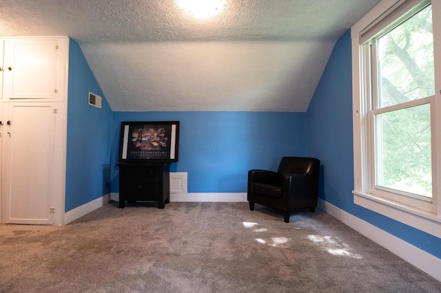 9585 Snyder Church Rd NW, Baltimore, OH 43105 - photo 33
