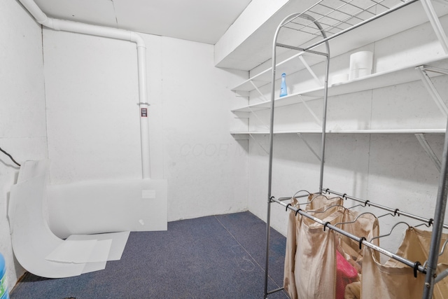 14 Stoney Ridge Dr SW, Pataskala, OH 43062 - view of storage