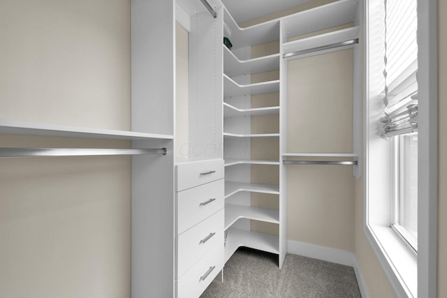 754 N 6th St, Columbus, OH 43215 - walk in closet with carpet flooring