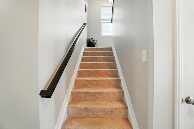 stairway with baseboards and carpet