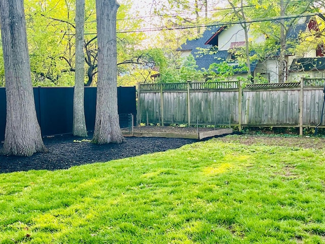view of yard featuring a fenced backyard