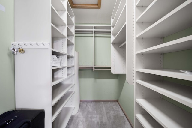 5792 Thada Ln, Columbus, OH 43229 - walk in closet featuring carpet