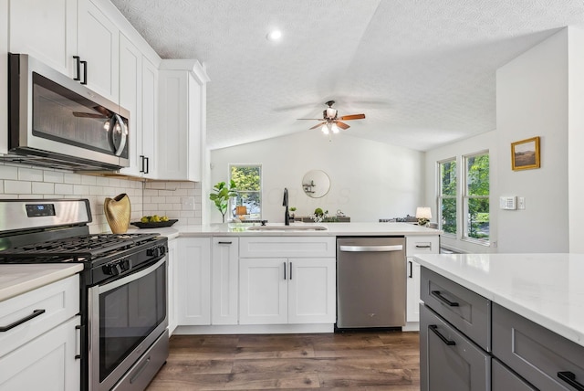 3186 Bowdoin Cir, Columbus, OH 43204 - kitchen featuring appliances with stainless steel finishes, a sink, a textured ceiling, plenty of natural light, and light countertops