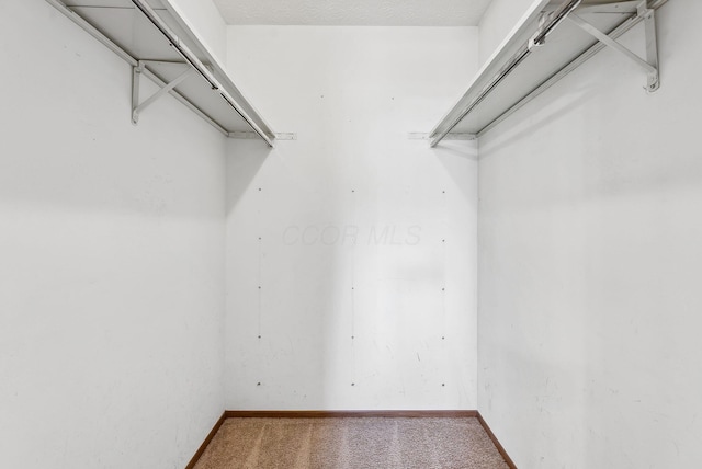3186 Bowdoin Cir, Columbus, OH 43204 - spacious closet featuring carpet floors