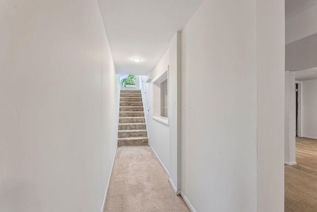 3186 Bowdoin Cir, Columbus, OH 43204 - hall with carpet floors, baseboards, and stairway