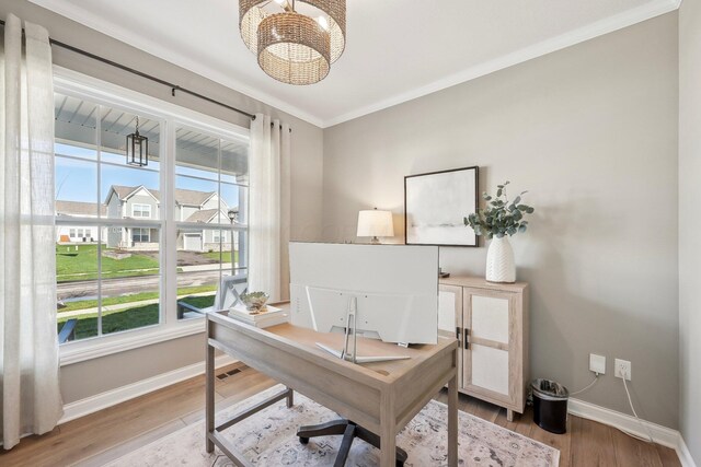 office featuring plenty of natural light, baseboards, ornamental molding, and wood finished floors