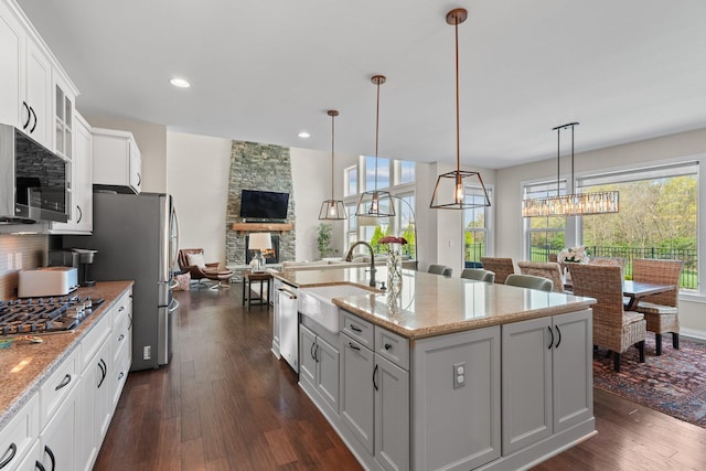 8153 Lilium Way, Plain City, OH 43064 - kitchen featuring a sink, a fireplace, dark wood-type flooring, appliances with stainless steel finishes, and open floor plan