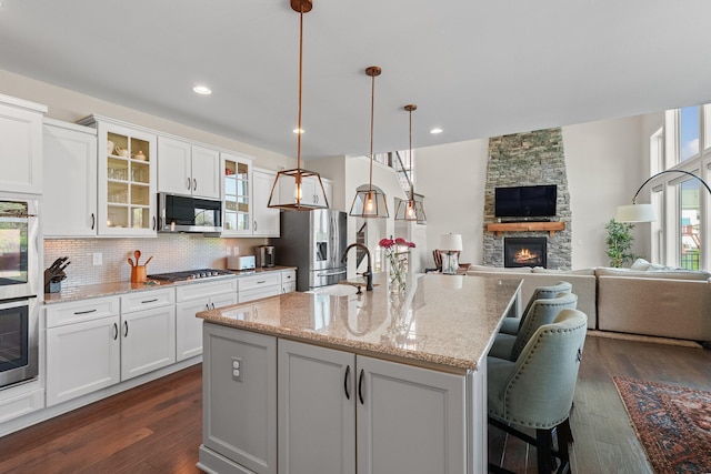 8153 Lilium Way, Plain City, OH 43064 - kitchen with a kitchen island with sink, a sink, a stone fireplace, appliances with stainless steel finishes, and open floor plan