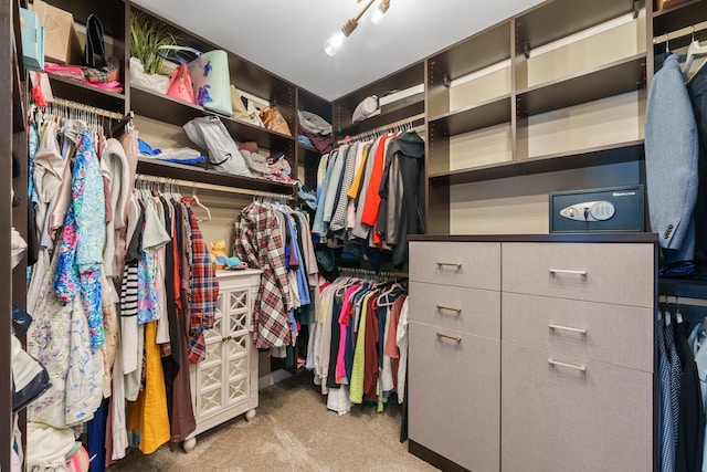 8153 Lilium Way, Plain City, OH 43064 - spacious closet featuring carpet flooring