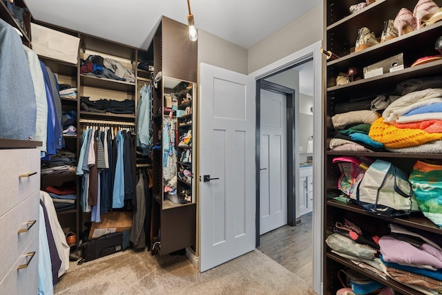 8153 Lilium Way, Plain City, OH 43064 - walk in closet featuring carpet