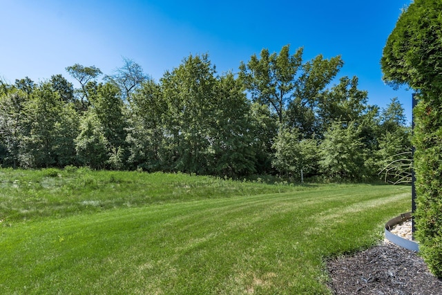 8153 Lilium Way, Plain City, OH 43064 - photo 64