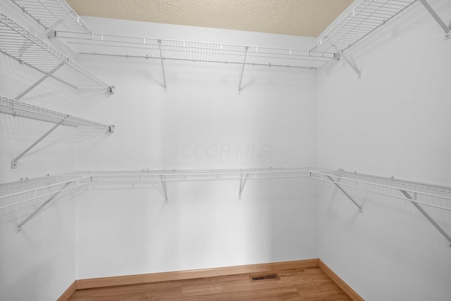 2977 Highwall Way, Columbus, OH 43221 - walk in closet with light wood-style floors