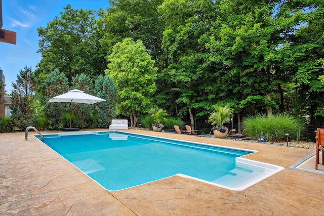 298 Long Branch Run, Delaware, OH 43015 - outdoor pool with a patio and view of wooded area