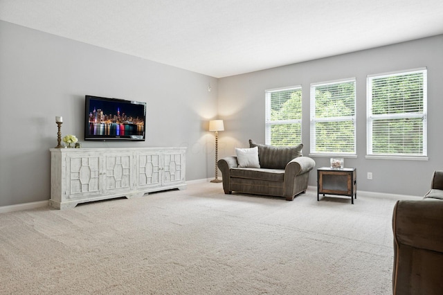 298 Long Branch Run, Delaware, OH 43015 - carpeted living room featuring baseboards