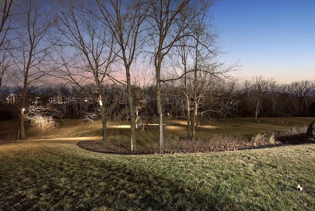 view of yard at dusk