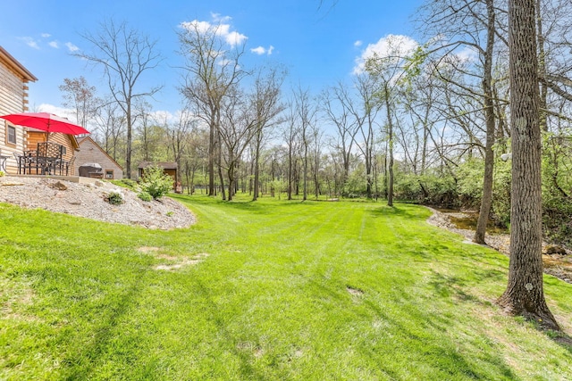 view of yard featuring a patio