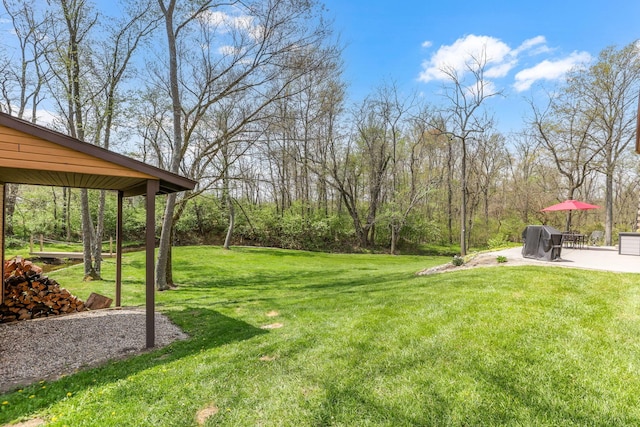 view of yard featuring a patio