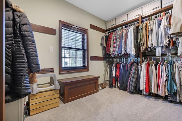 spacious closet featuring carpet