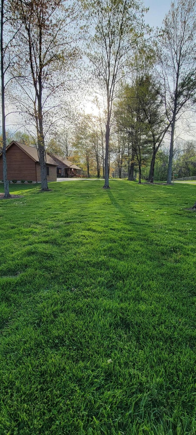 view of yard