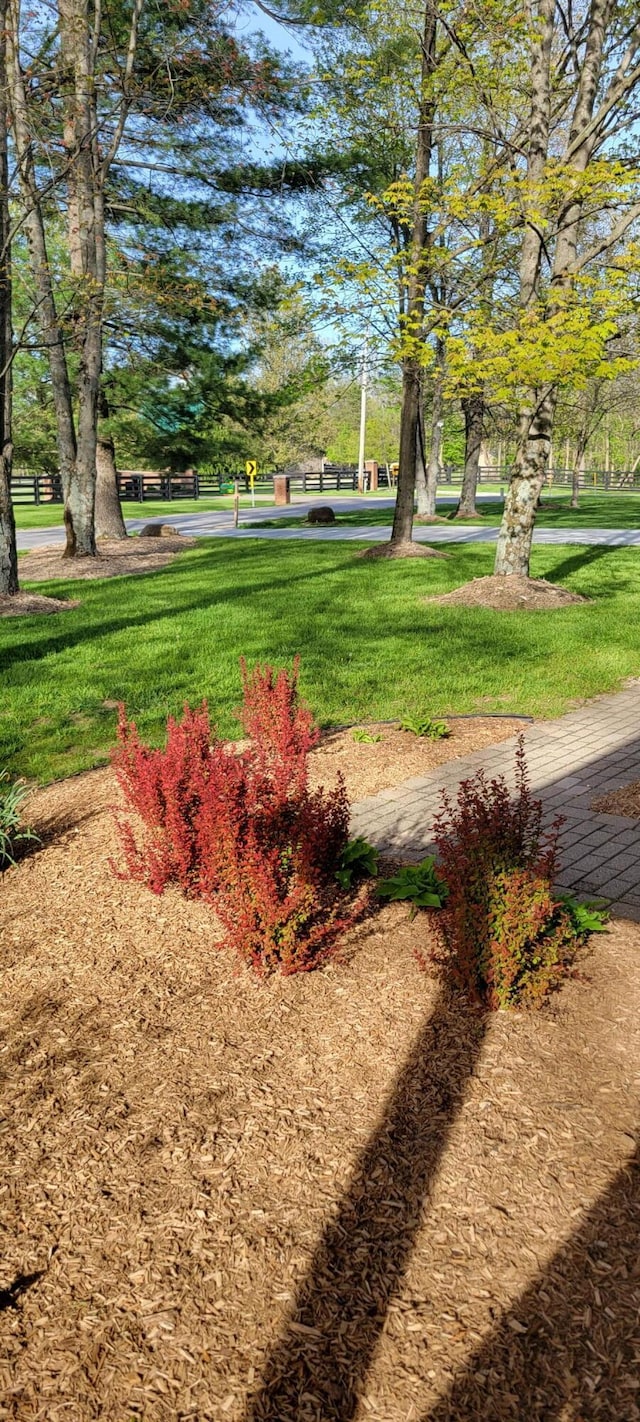 view of home's community featuring a yard