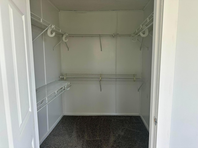 spacious closet with carpet floors