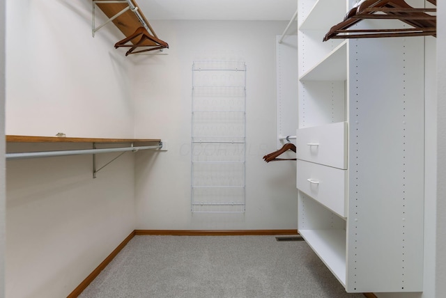 walk in closet with visible vents and carpet floors