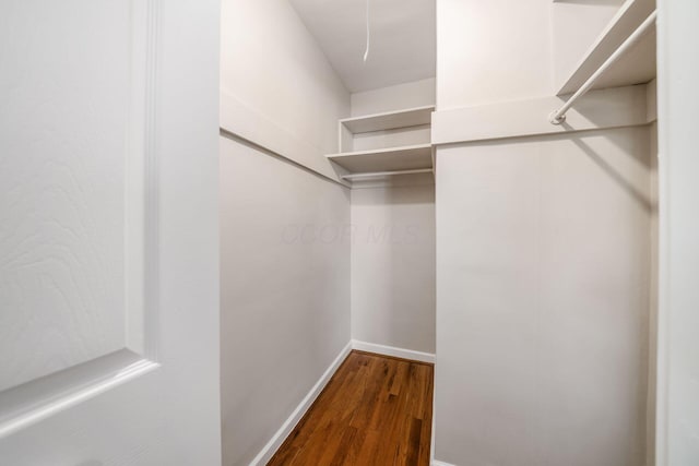 spacious closet with dark wood-type flooring