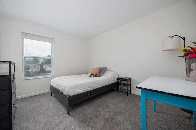 380 Oak Village Dr, Columbus, OH 43207 - bedroom with carpet floors and baseboards