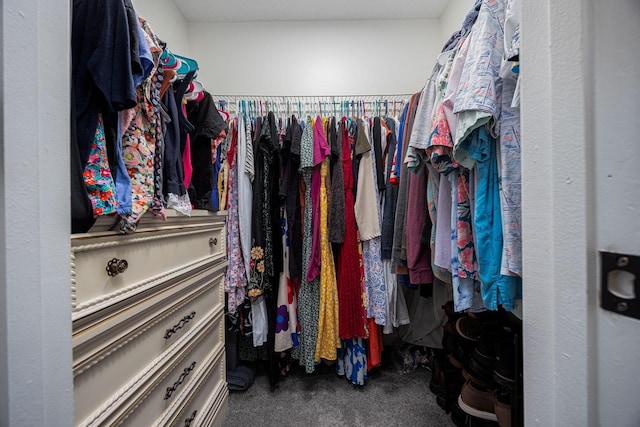 380 Oak Village Dr, Columbus, OH 43207 - walk in closet featuring carpet