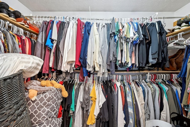 view of walk in closet